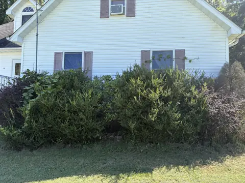 Before trimming: overgrown shrubs and vines in front of a house