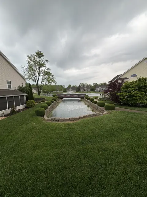 Completed hedge trimming with neatly shaped bushes around the pond peninsula