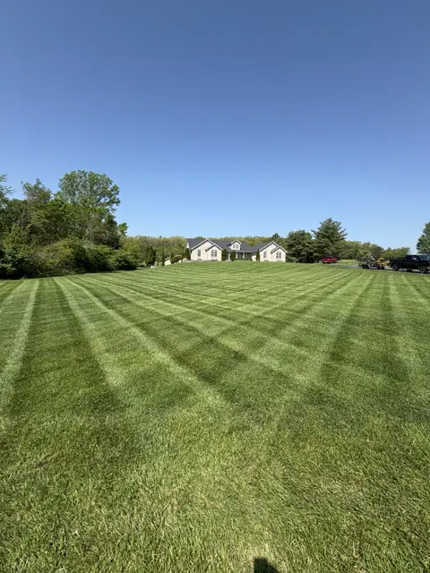 Fresh mowing stripes across a sunny lawn maintained by JB’s