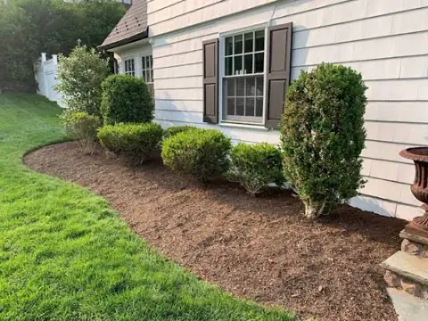 Fresh mulch and neatly trimmed shrubs in a landscaped bed beside a home